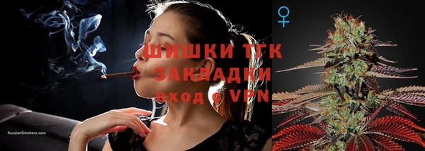spice Абаза