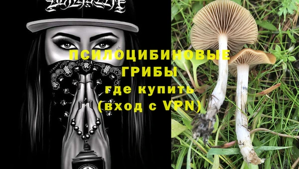 амф Алексин