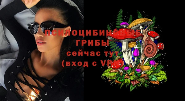 а пвп мука Алзамай