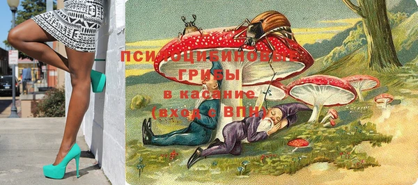 а пвп мука Алзамай