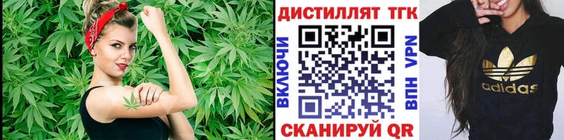 Дистиллят ТГК вейп  как найти   Сураж 