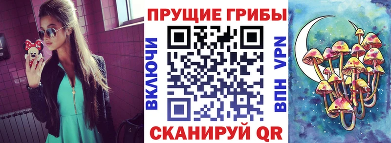Псилоцибиновые грибы мицелий  Сураж 